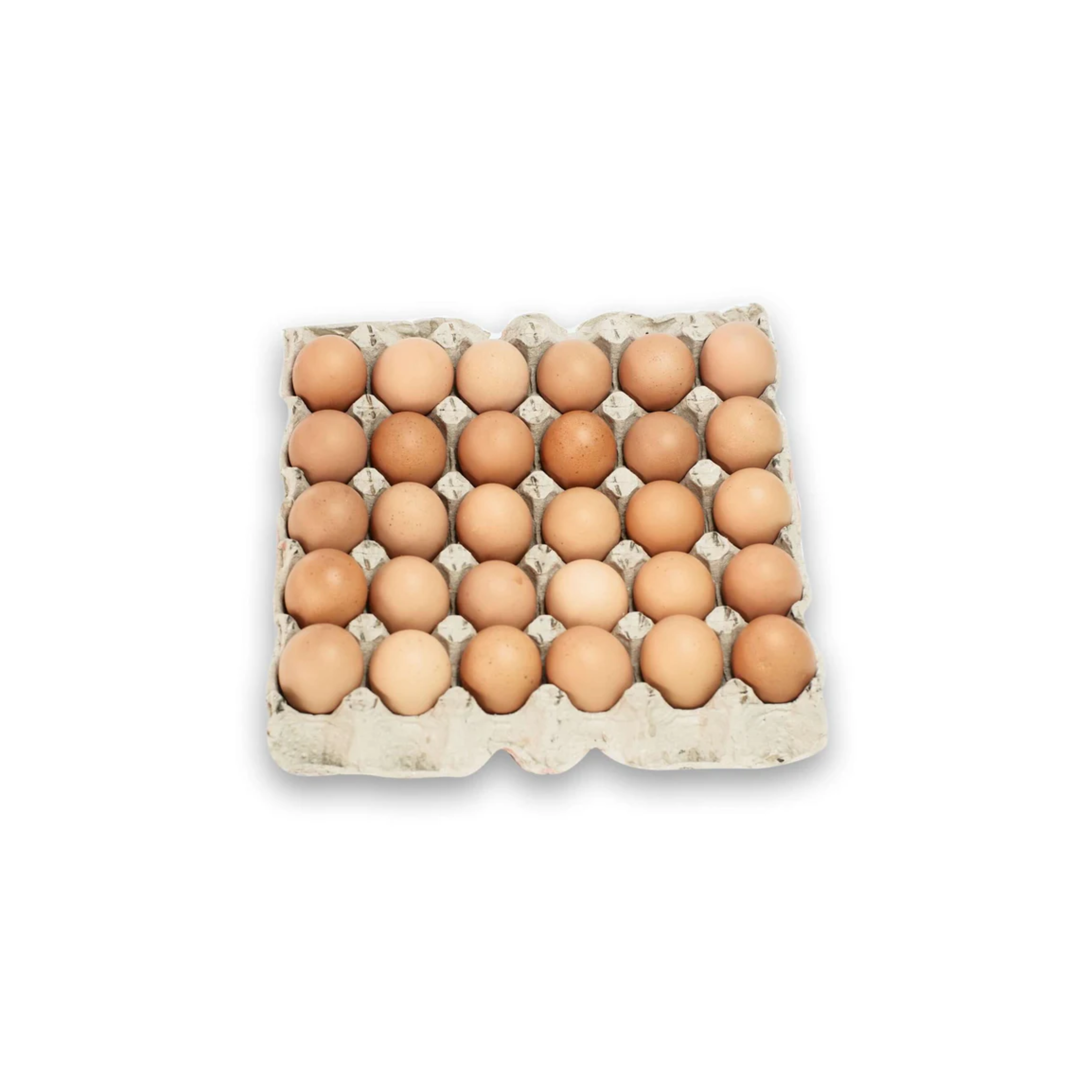 Eggs Tray